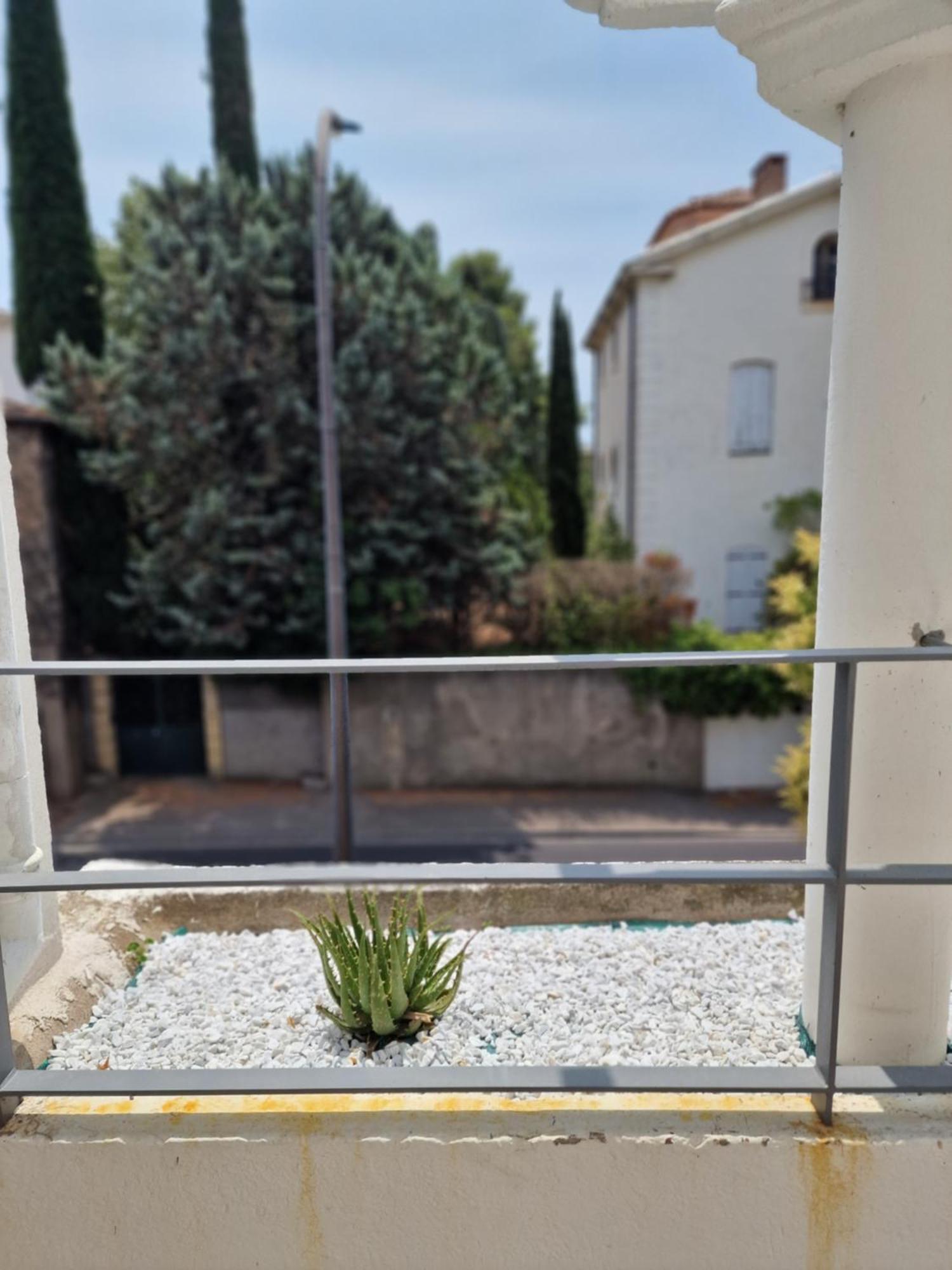 Maison Ping ,En Face Des Arenes Béziers Esterno foto